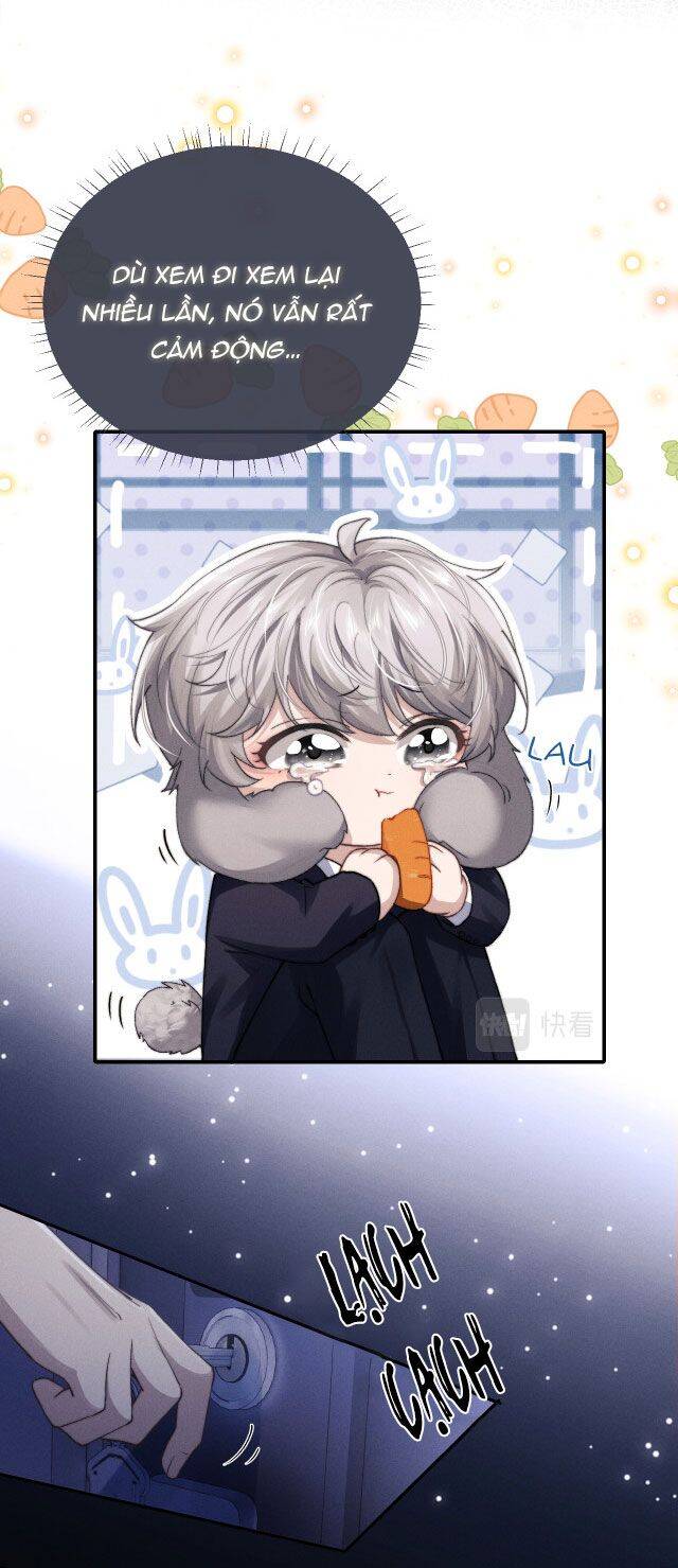 Chấp Sự Thỏ Cụp Tai Chap 5 - Next Chap 6