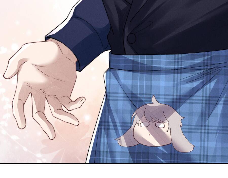 Chấp Sự Thỏ Cụp Tai Chap 6 - Next Chap 7