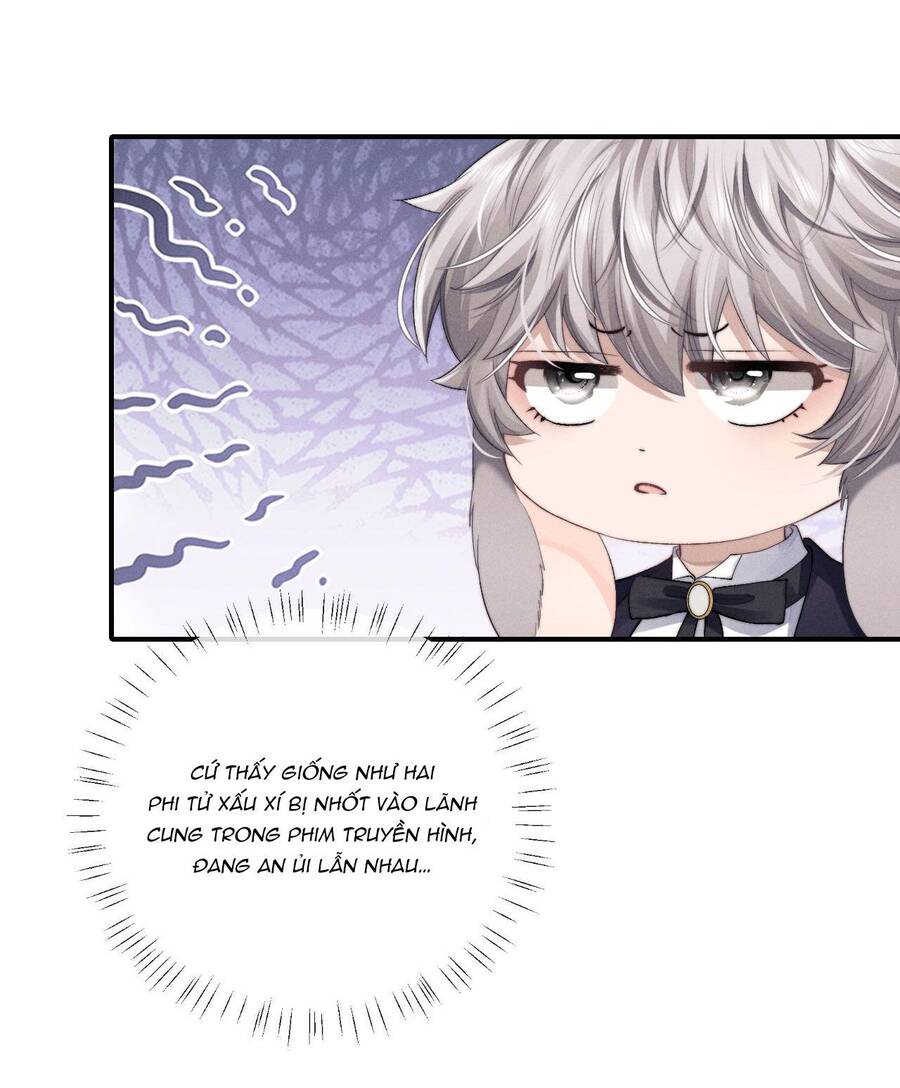Chấp Sự Thỏ Cụp Tai Chap 8 - Next Chap 9
