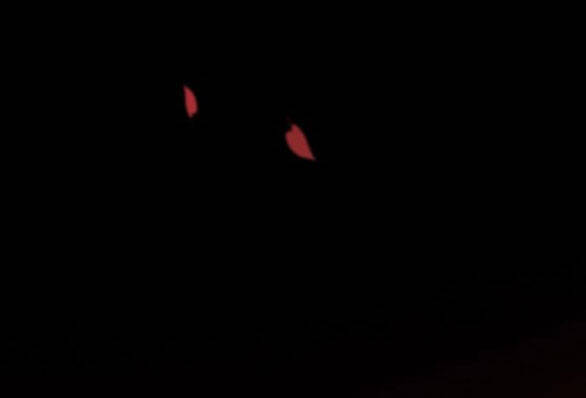 Serena Chap 18 - Next Chap 19