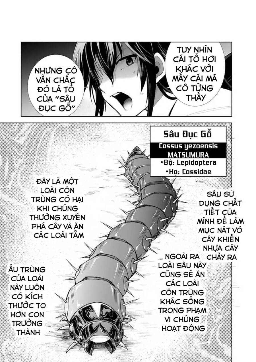 Dãy Núi Côn Trùng Chap 25 - Next Chap 26
