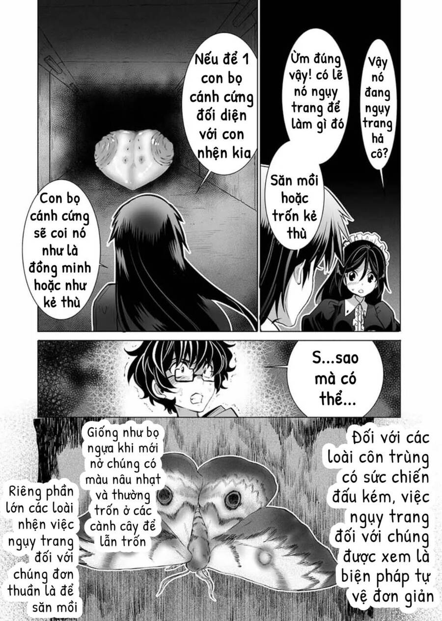 Dãy Núi Côn Trùng Chap 10 - Next Chap 11