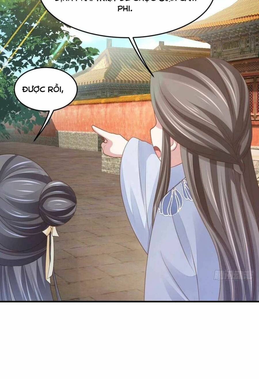 Thuần Hóa Ba Ba Bạo Quân Chap 34 - Next Chap 35