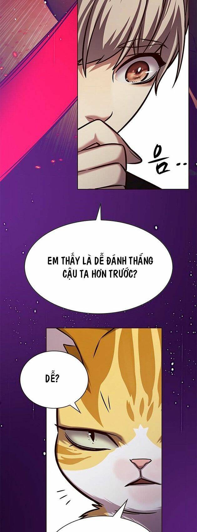 Hóa Thân Thành Mèo Chap 218 - Next Chap 219