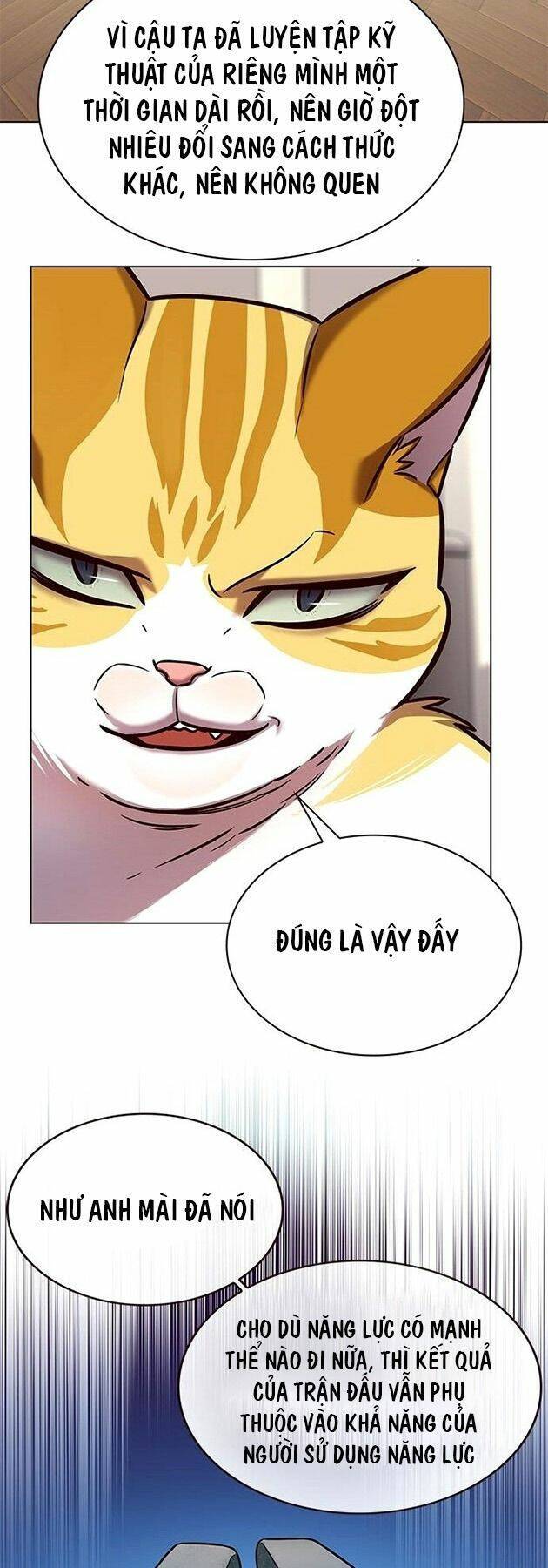 Hóa Thân Thành Mèo Chap 218 - Next Chap 219