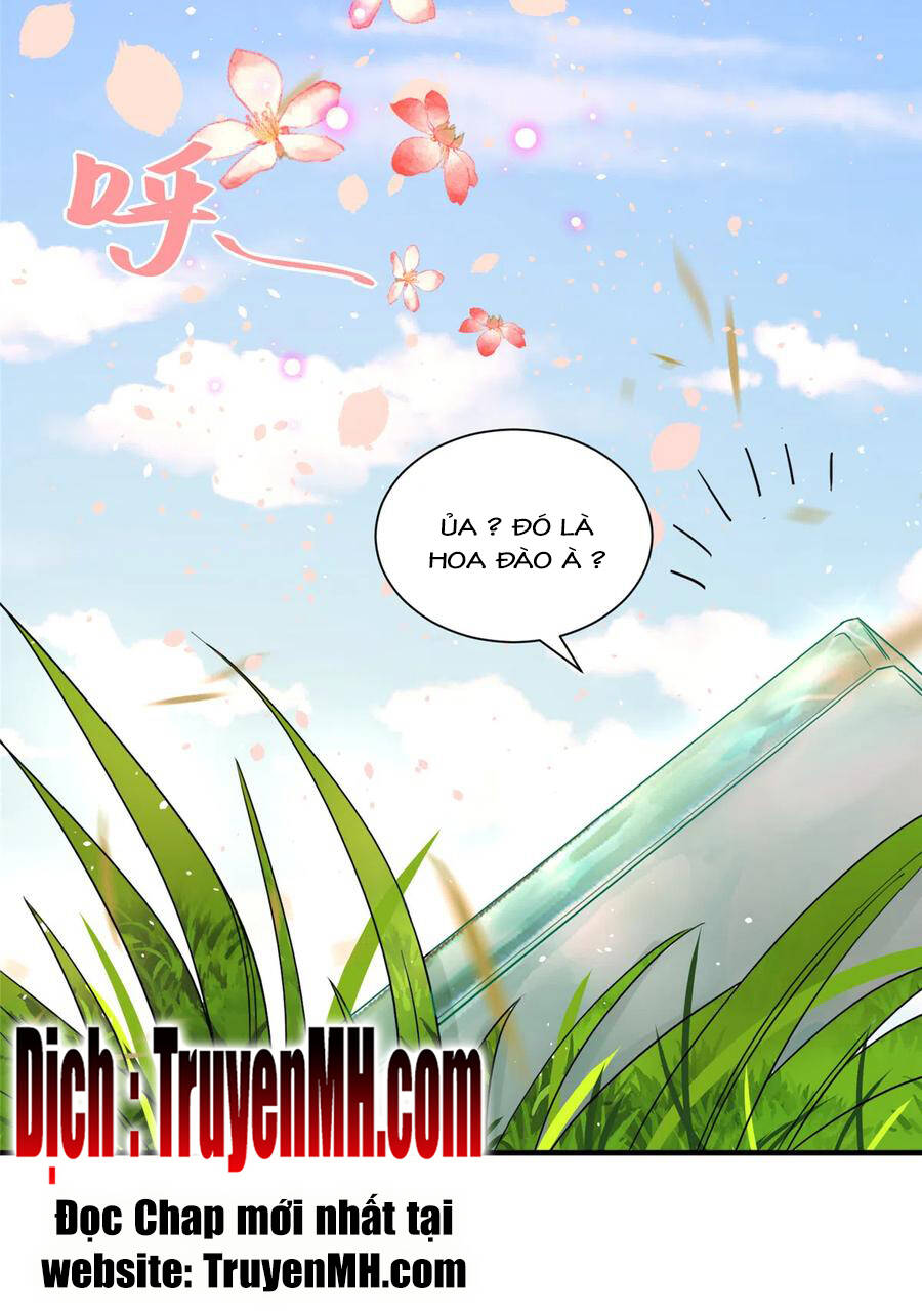 Đồ Đệ Nhà Ta Lại Quải Rồi Chap 283 - Next Chap 284