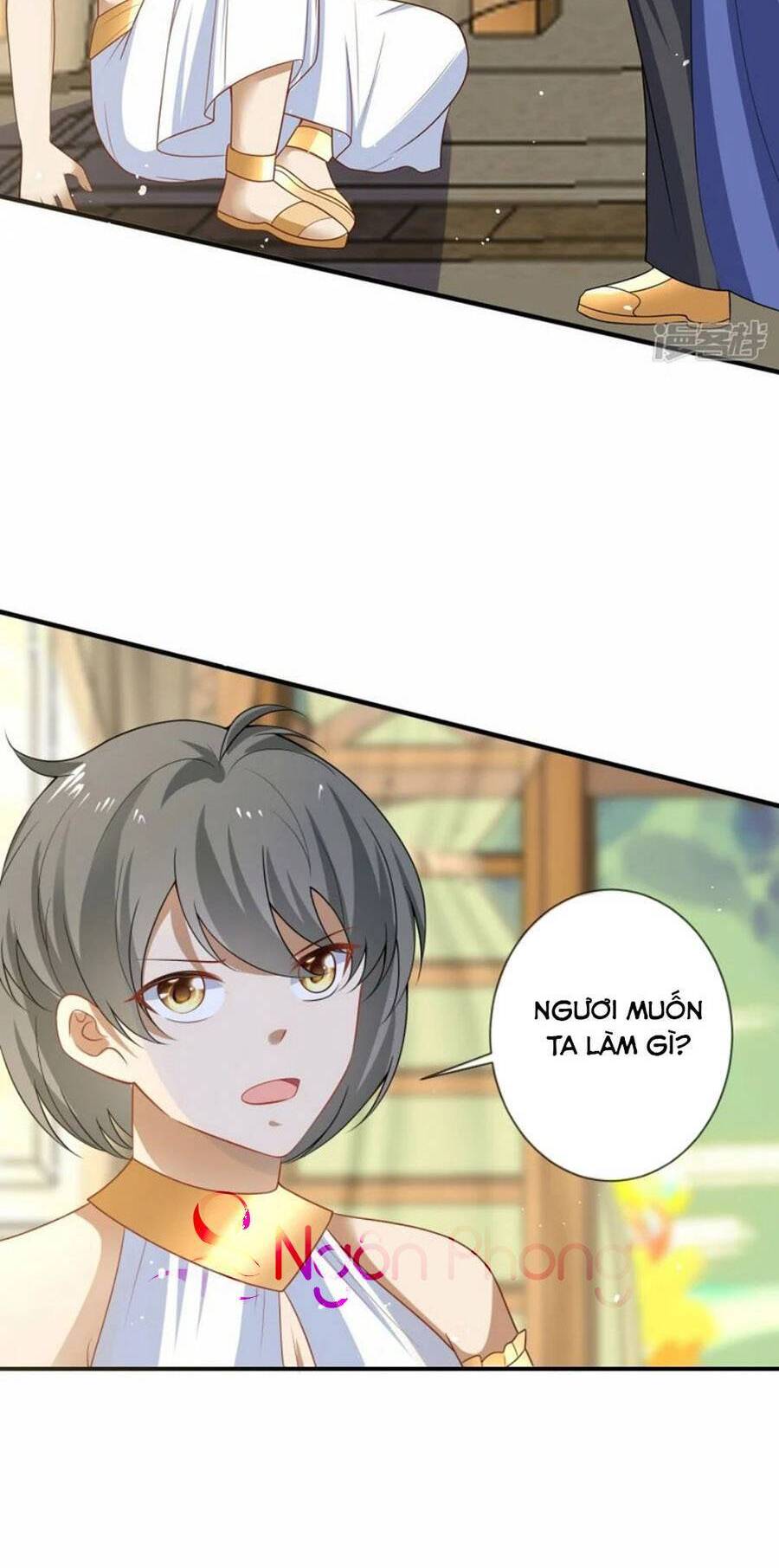 Sủng Hậu Của Vương Chap 172 - Next Chap 173