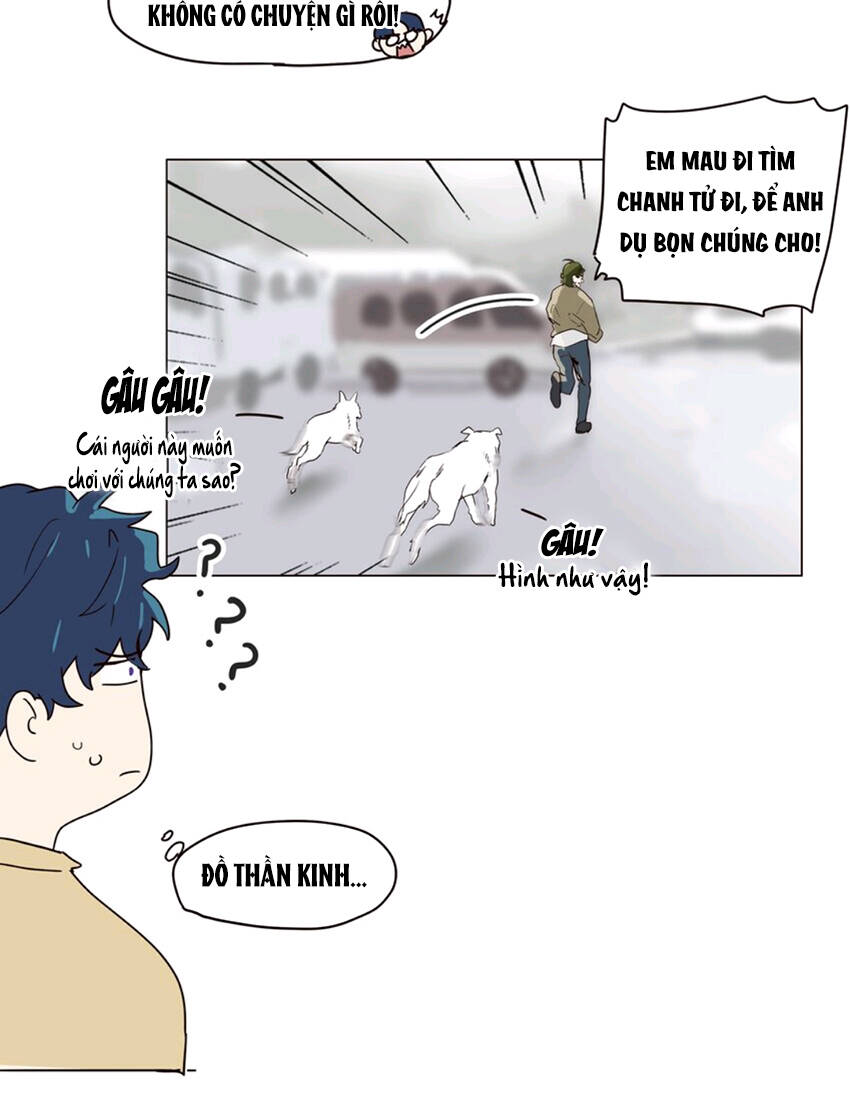 Đâu Phải Tại Tui Muốn Giả Gái Chap 111 - Next Chap 112