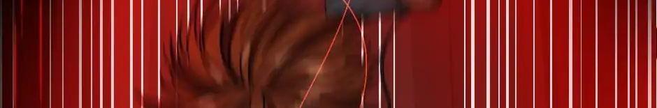 Ánh Sáng Cuối Con Đường Chap 12 - Next Chap 13