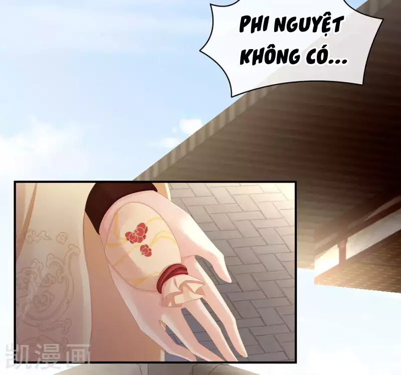 Hậu Cung Của Nữ Đế Chap 75 - Next Chap 76