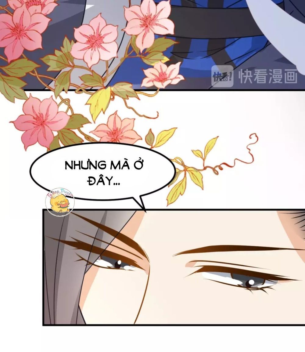 Trùng Sinh Chuyên Sủng Độc Phi Của Nhiếp Chính Vương Chap 16 - Next Chap 17