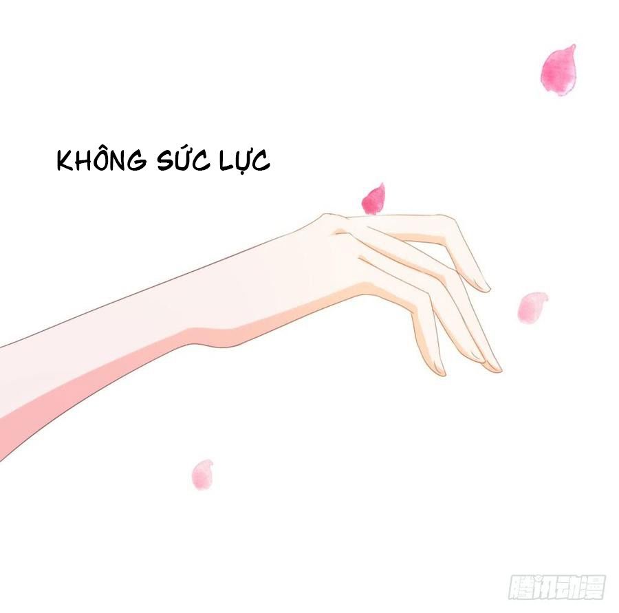 Ẩn Hôn 100%: Chọc Tức Vợ Yêu Mua Một Tặng Một Chap 66 - Next Chap 67