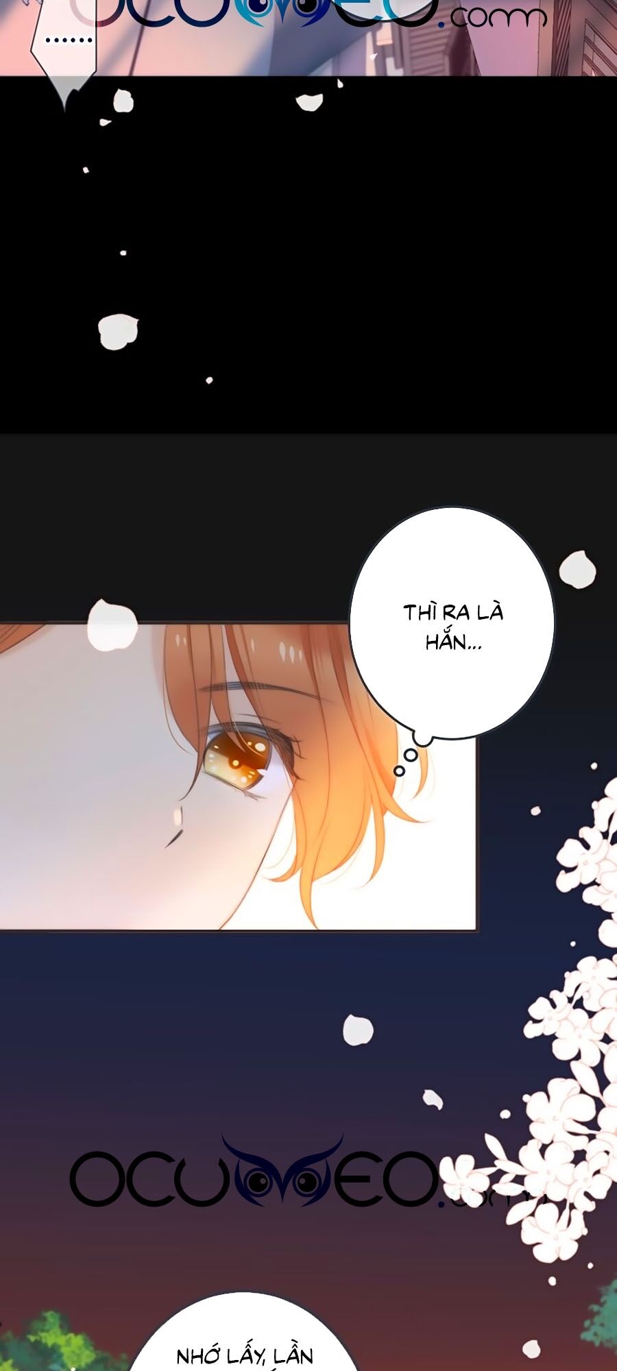 Lâu Tiểu Thư, Lại Gặp Nhau Rồi Chap 19 - Next Chap 20