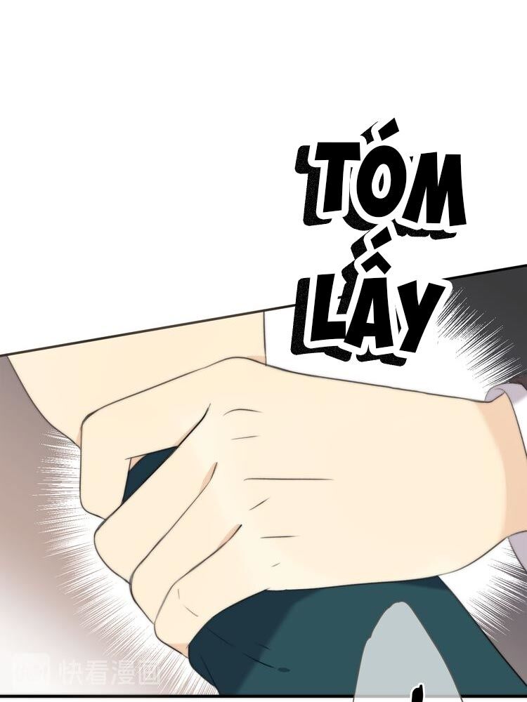 Lâu Tiểu Thư, Lại Gặp Nhau Rồi Chap 9 - Next Chap 10