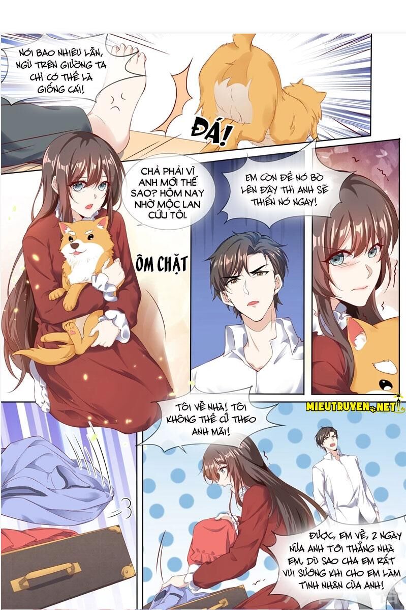 Thiếu Soái! Vợ Ngài Lại Bỏ Trốn Chap 281 - Next Chap 282
