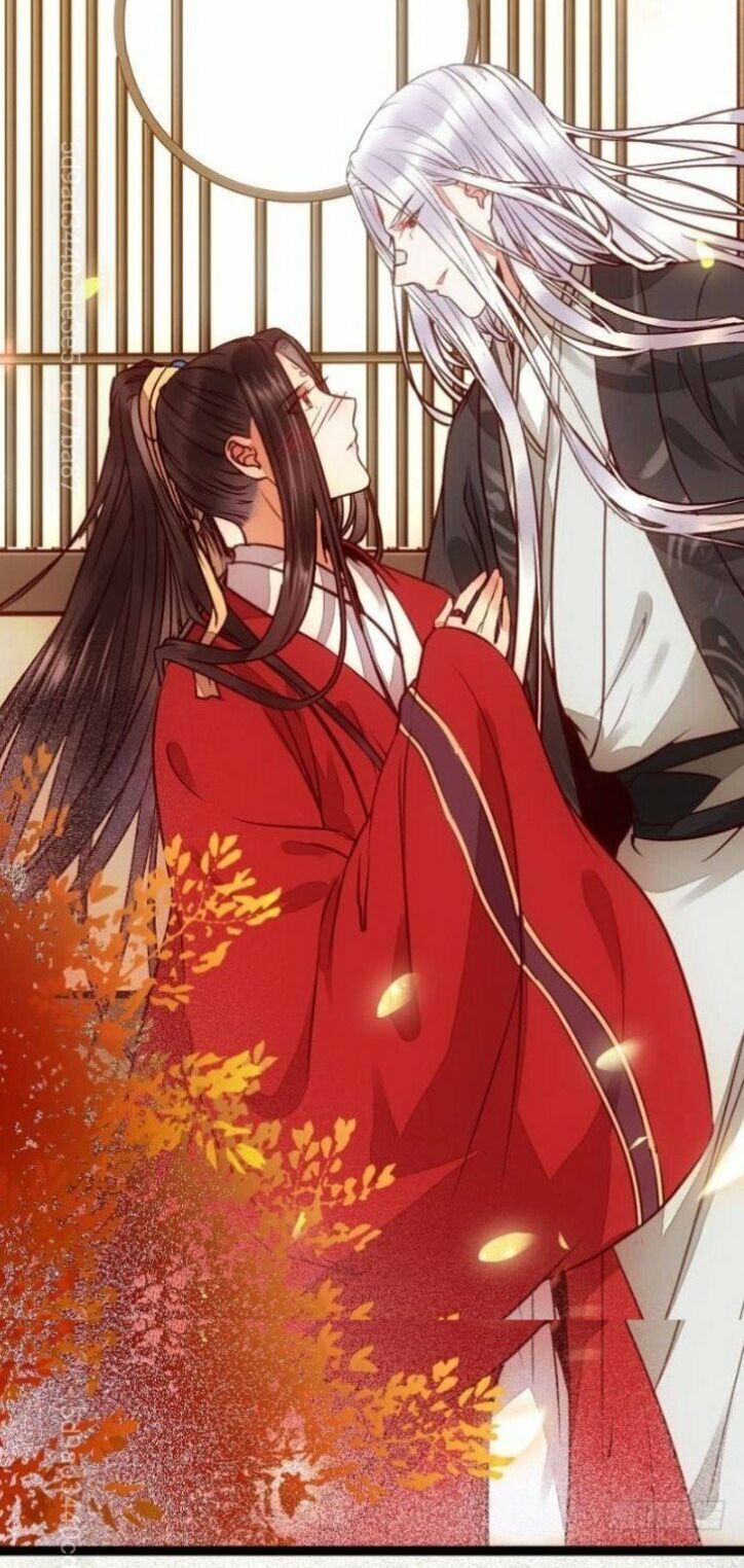 TUYỆT SẮC QUYẾN RŨ: QUỶ Y CHÍ TÔN Chap 211 - Next Chap 212