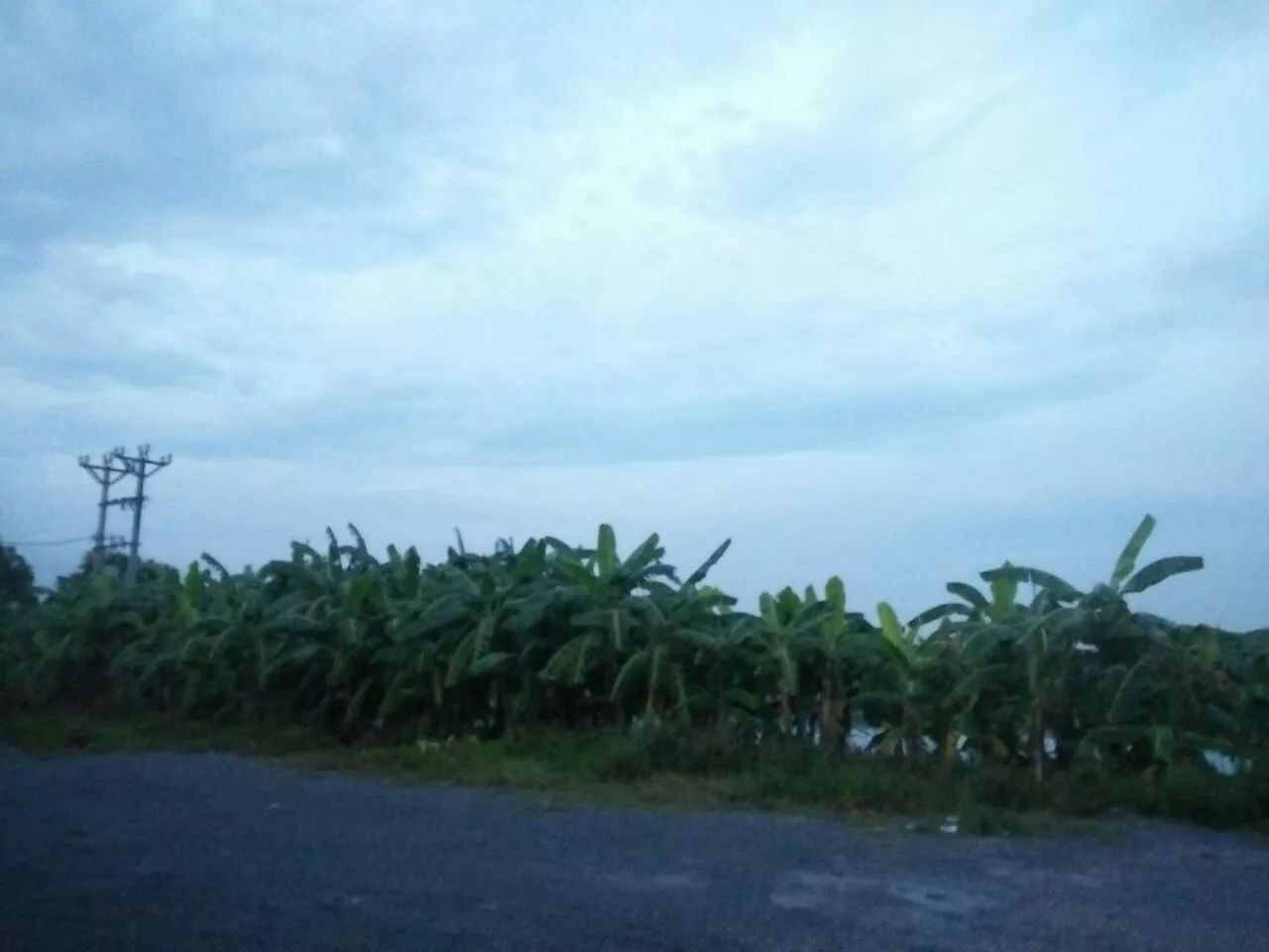 TUYỆT SẮC QUYẾN RŨ: QUỶ Y CHÍ TÔN Chap 91 - Next Chap 92