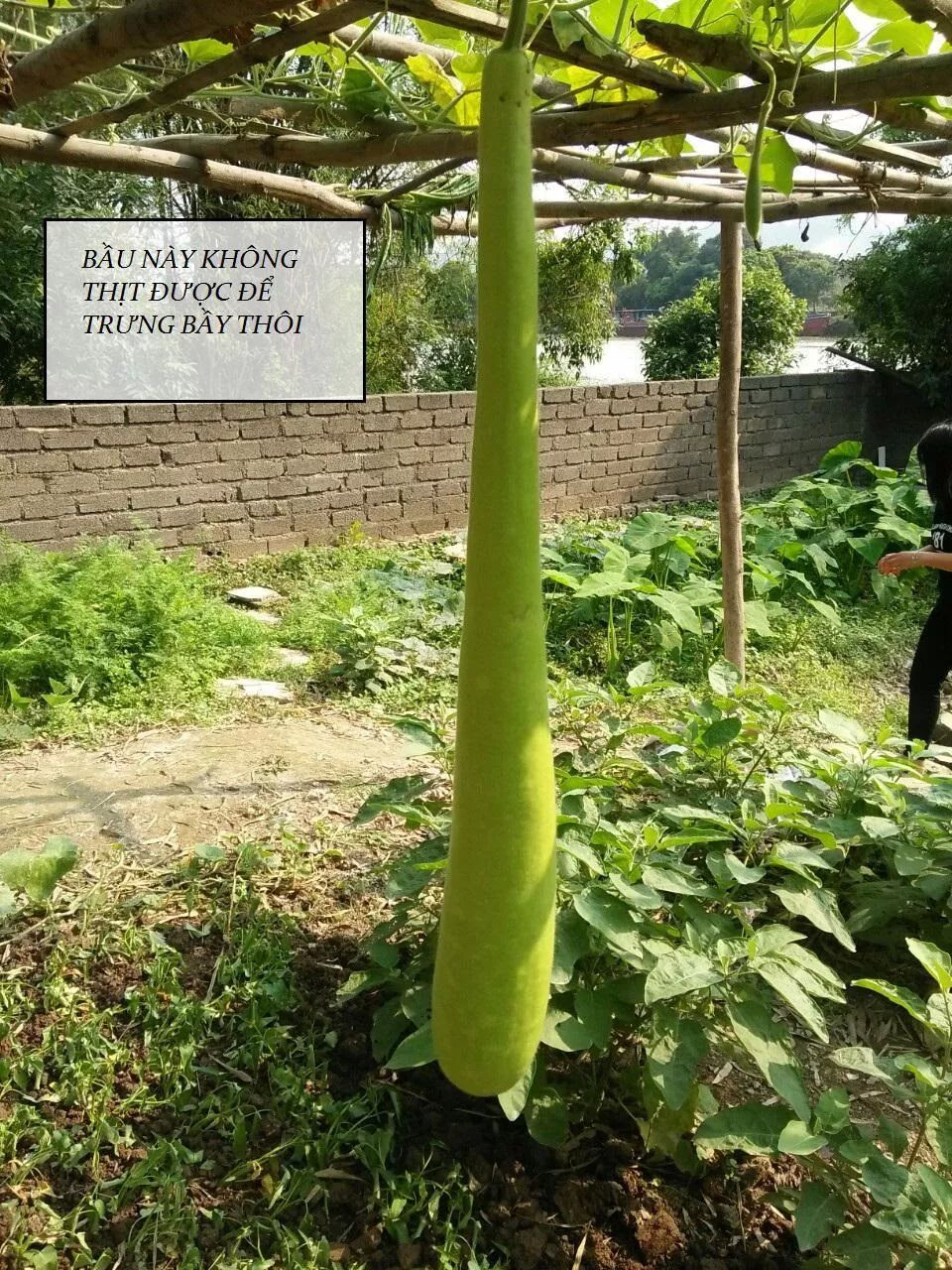 TUYỆT SẮC QUYẾN RŨ: QUỶ Y CHÍ TÔN Chap 91 - Next Chap 92