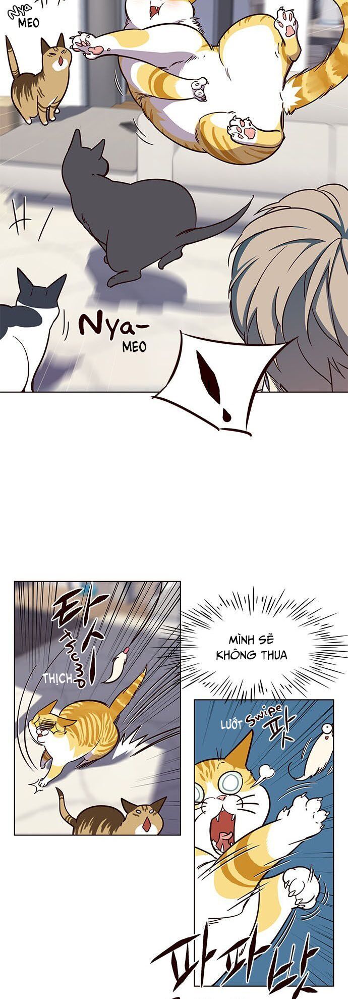 Hóa Thân Thành Mèo Chap 16 - Next Chap 17