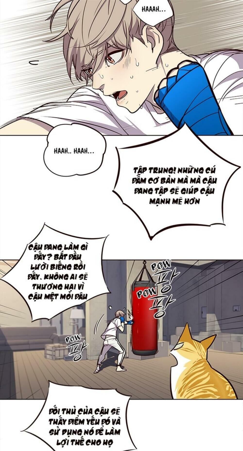 Hóa Thân Thành Mèo Chap 19 - Next Chap 20