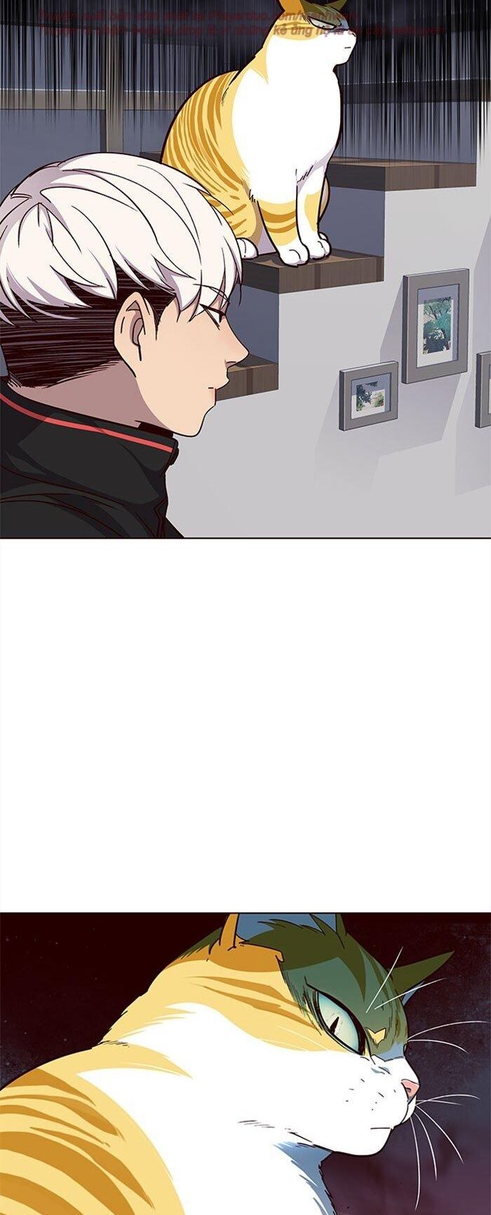 Hóa Thân Thành Mèo Chap 35 - Next Chap 36