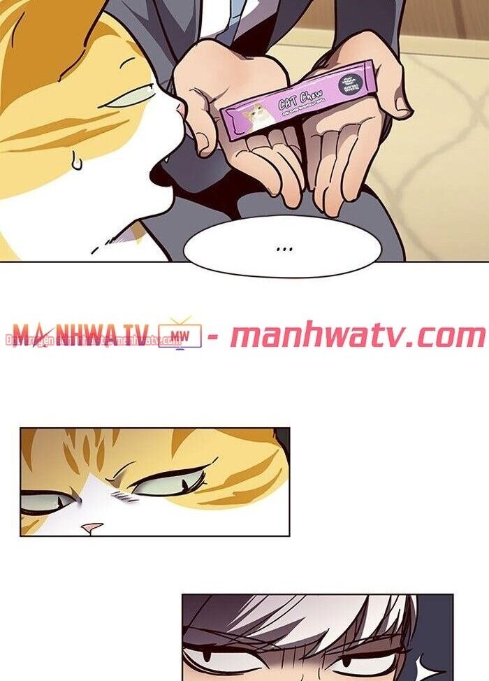 Hóa Thân Thành Mèo Chap 50 - Next Chap 51