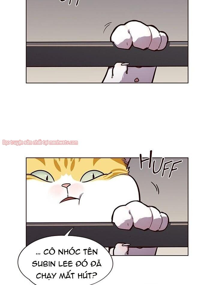 Hóa Thân Thành Mèo Chap 51 - Next Chap 52