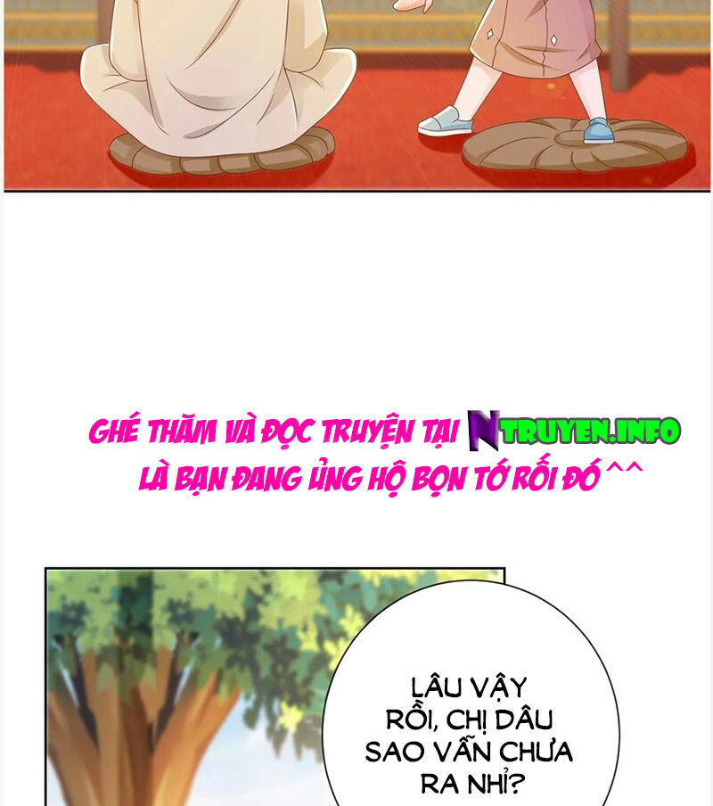 Ẩn Hôn 100%: Chọc Tức Vợ Yêu Mua Một Tặng Một Chap 177 - Next Chap 178