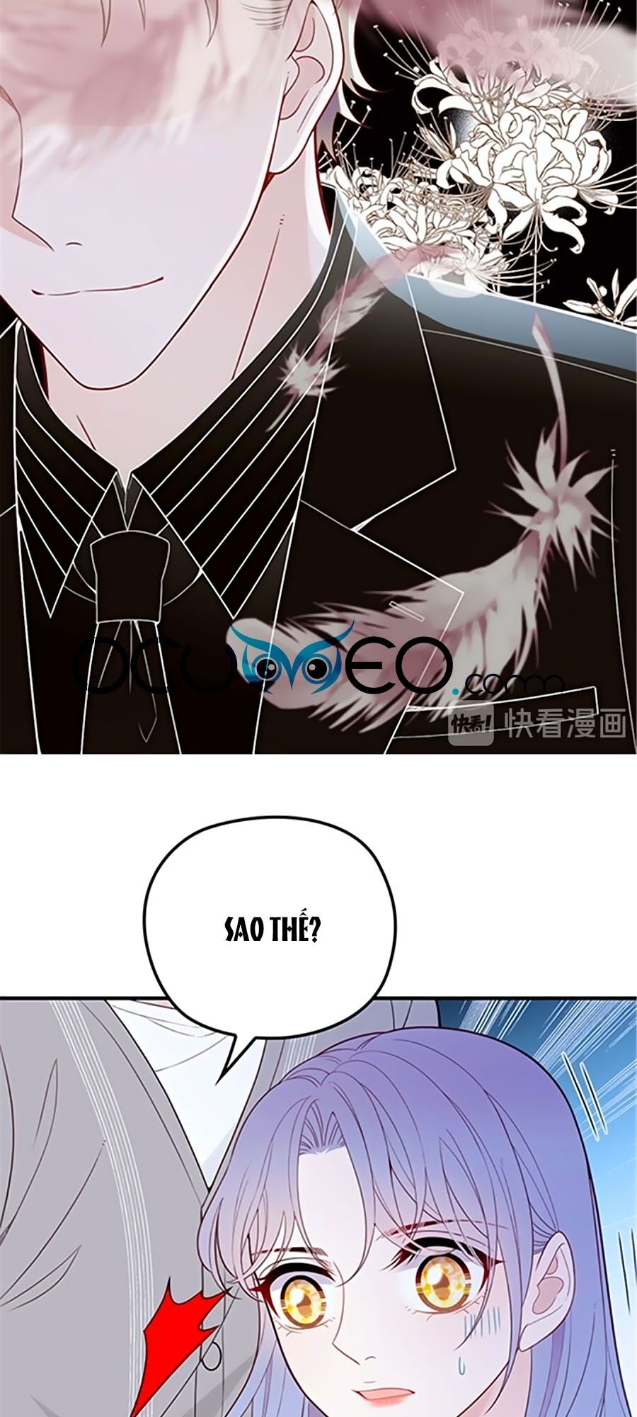 Cô Vợ Mang Thai Một Tặng Một Chap 56 - Next Chap 57