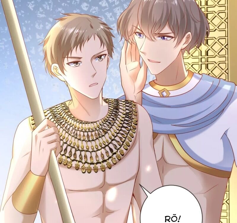 Sủng Hậu Của Vương Chap 55 - Next Chap 56