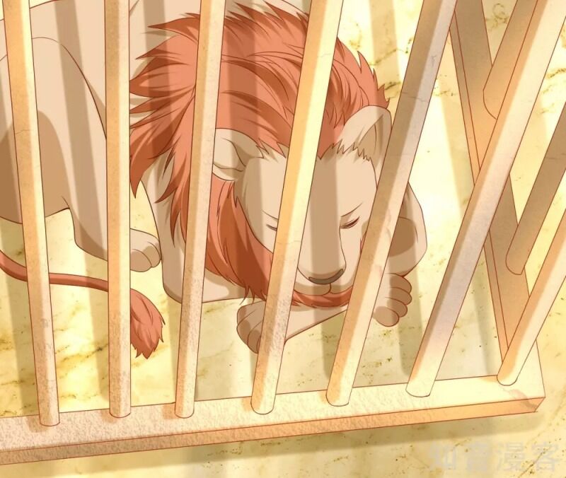 Sủng Hậu Của Vương Chap 56 - Next Chap 57