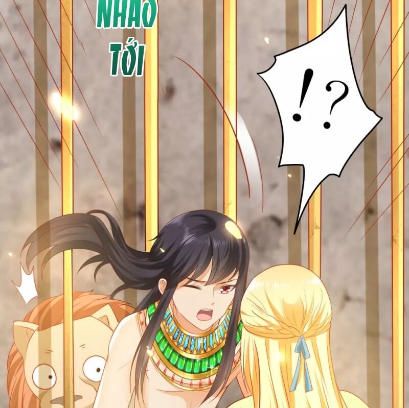 Sủng Hậu Của Vương Chap 56 - Next Chap 57
