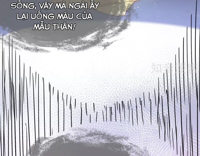 Sủng Hậu Của Vương Chap 59 - Next Chap 60