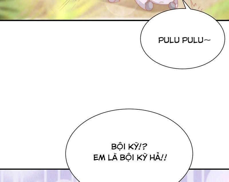 Sủng Hậu Của Vương Chap 75 - Next Chap 76