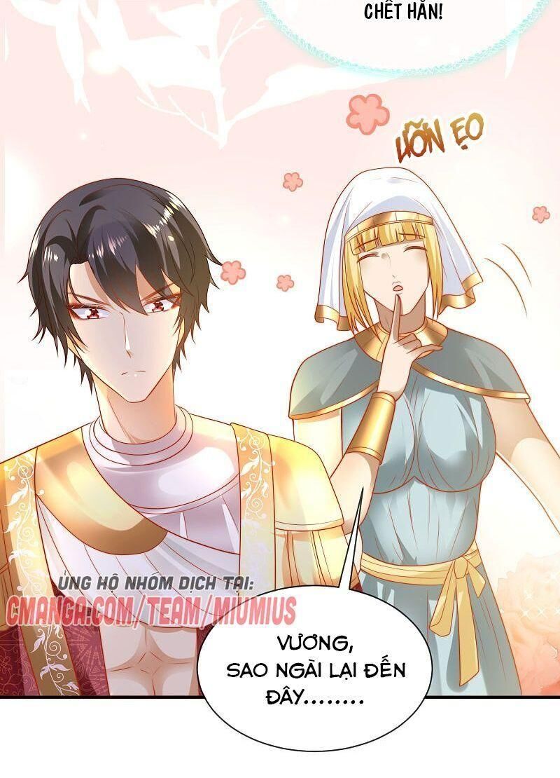 Sủng Hậu Của Vương Chap 77 - Next Chap 78