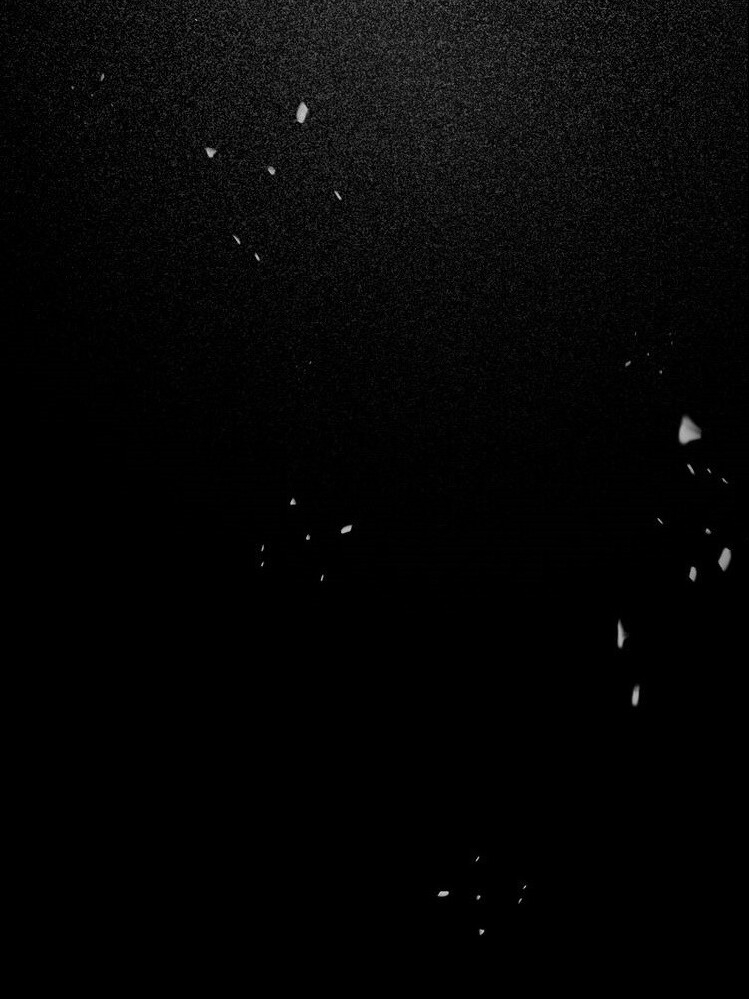 Dưỡng Địch Vi Hoạn Chap 49 - Next Chap 50