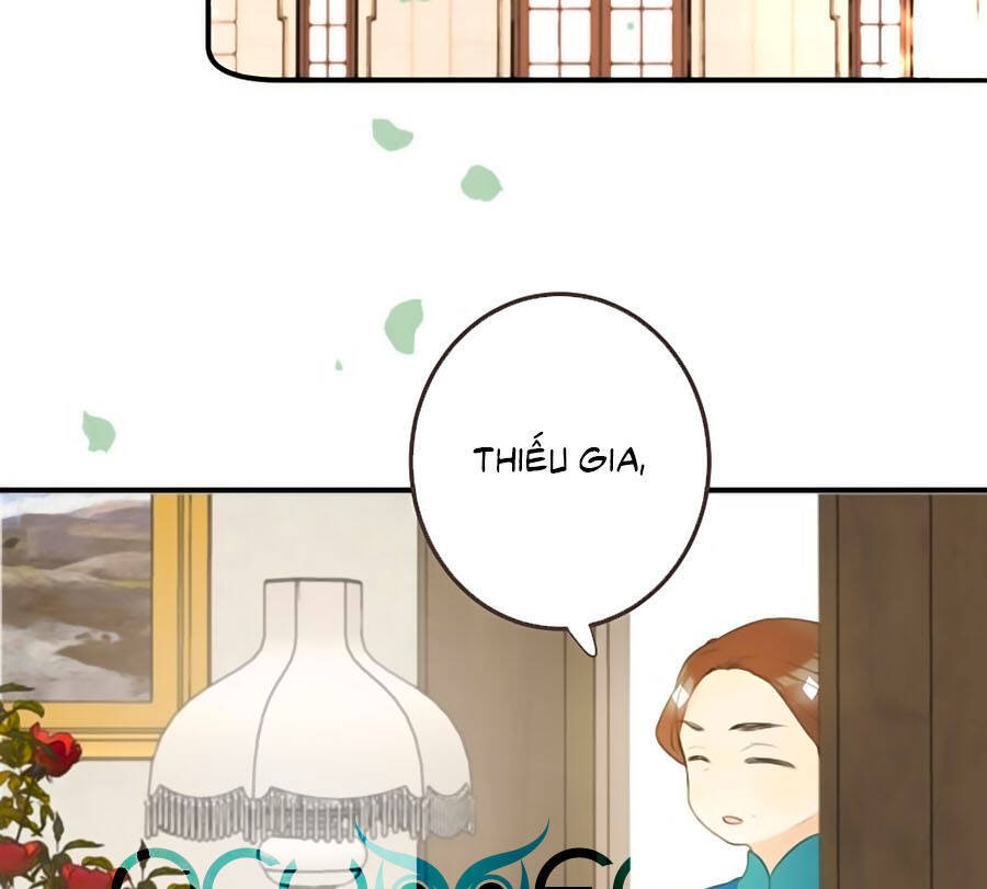 Lâu Tiểu Thư, Lại Gặp Nhau Rồi Chap 24 - Next Chap 25