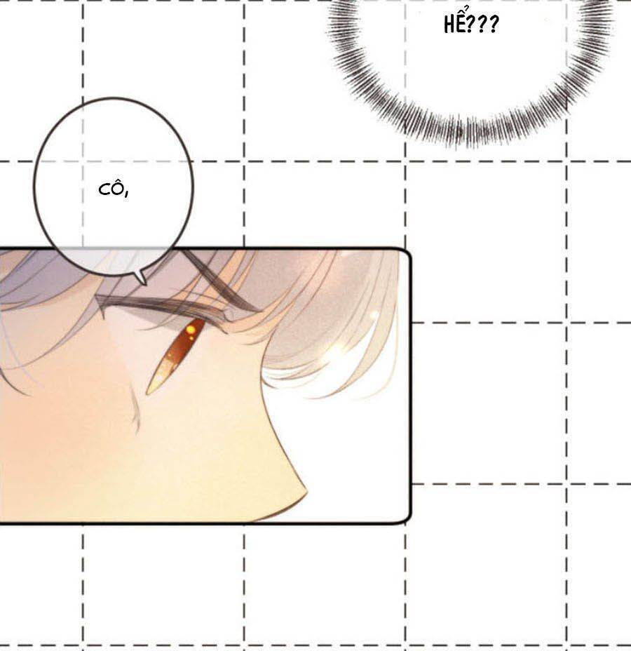 Lâu Tiểu Thư, Lại Gặp Nhau Rồi Chap 41 - Next Chap 42