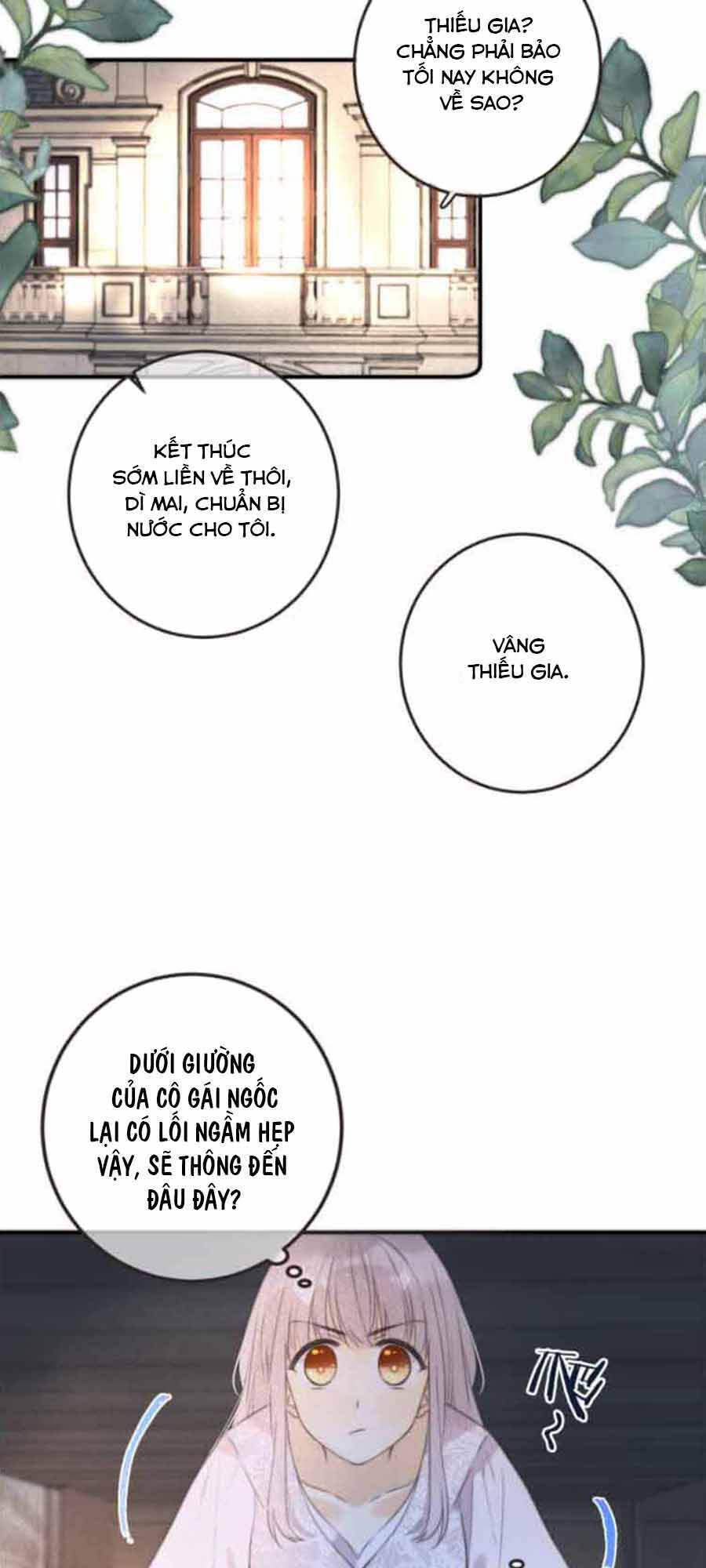 Lâu Tiểu Thư, Lại Gặp Nhau Rồi Chap 41 - Next Chap 42