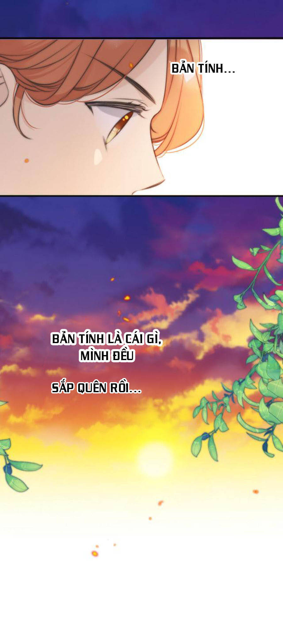 Lâu Tiểu Thư, Lại Gặp Nhau Rồi Chap 31 - Next Chap 32