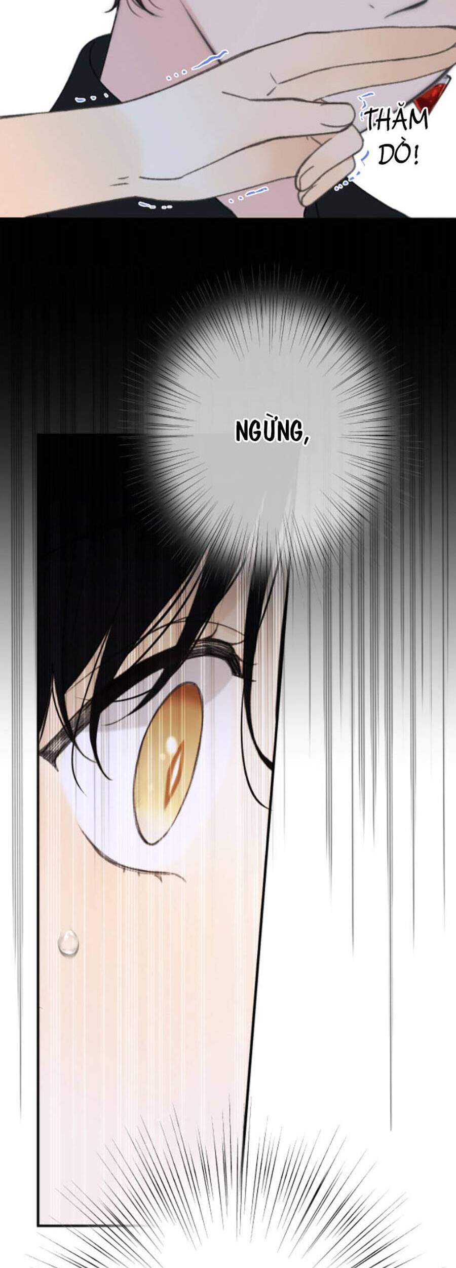 Lâu Tiểu Thư, Lại Gặp Nhau Rồi Chap 66 - Next Chap 67