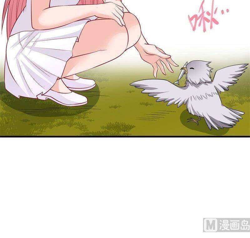 Tôi Sống Trên Hoang Đảo Cùng Các Em Gái Chap 56 - Next Chap 57