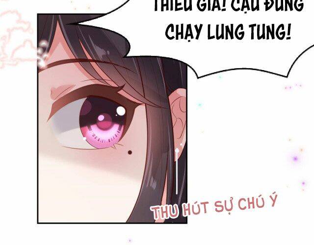Trọng Sinh Trở Lại: Sủng Nịch Độc Nhất Vô Nhị Chap 85 - Next Chap 86