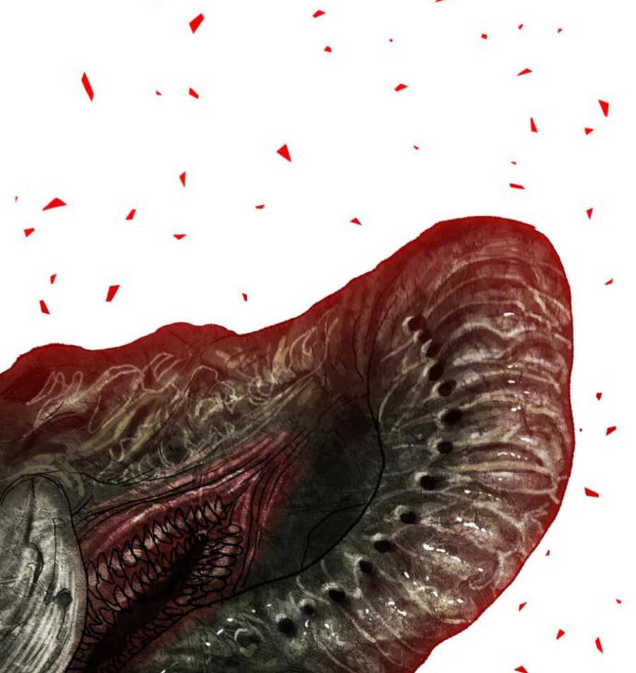 Phá Bỏ Giới Hạn Chap 63 - Next Chap 64