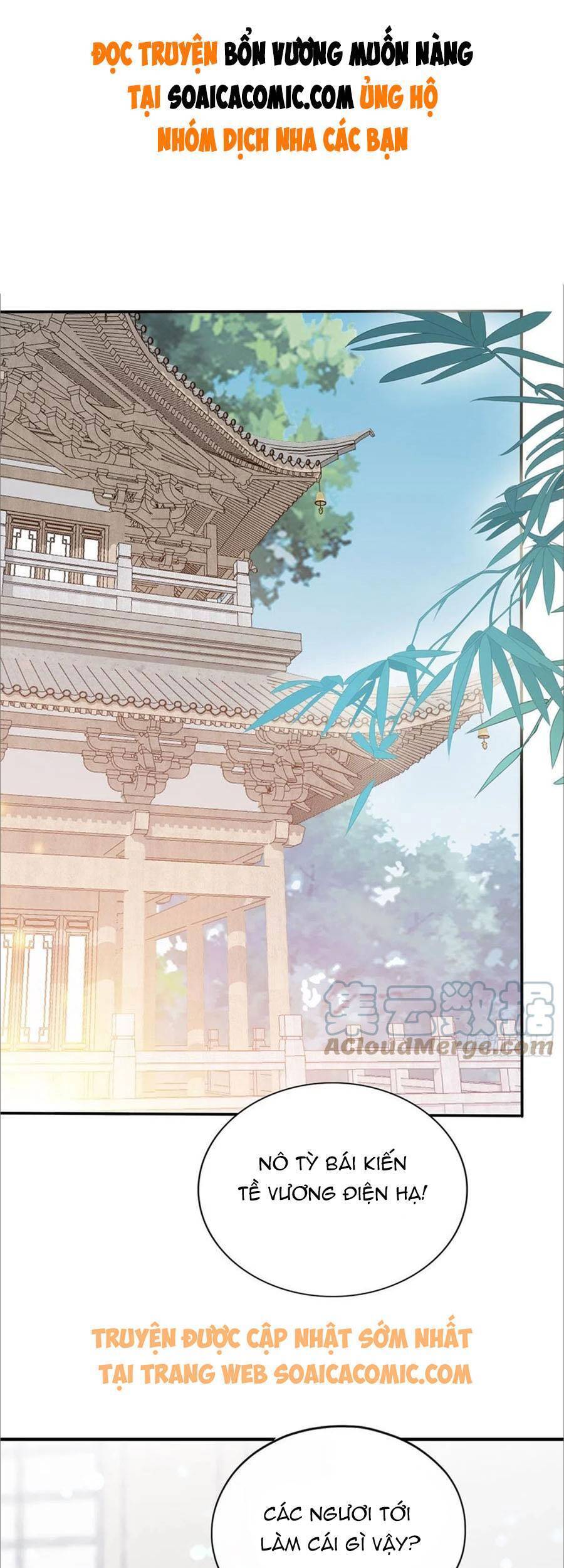 Bổn Vương Muốn Ngươi Chap 100 - Next Chap 101