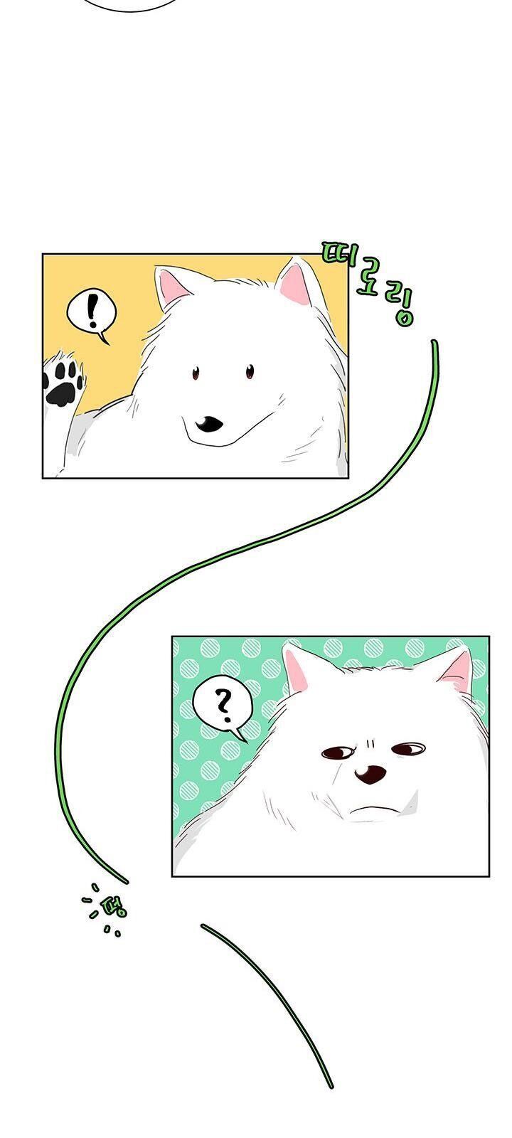 Tôi Sẽ Chỉ Sống Như Một Nhân Vật Phản Diện Chap 2 - Next Chap 3