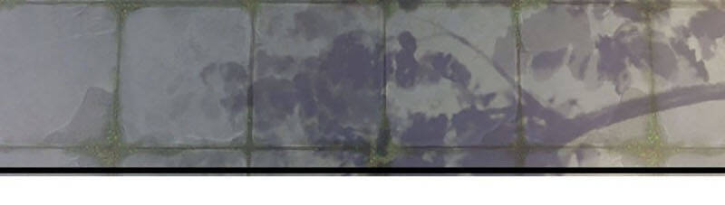 Bắt Đầu Với Chí Tôn Đan Điền Chap 21 - Next Chap 22