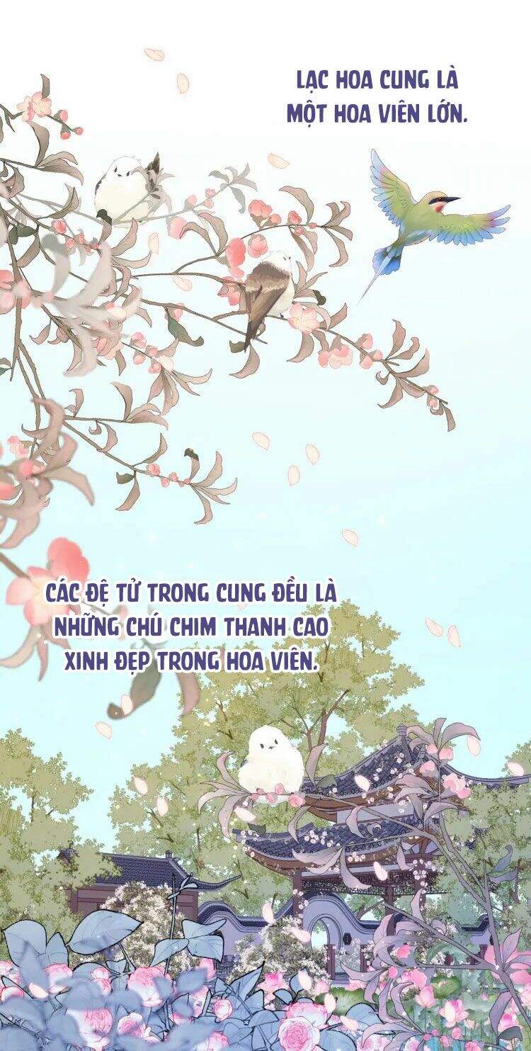 Ác Nữ Cự Tuyệt Cua Nam Chính Chap 22 - Next Chap 23