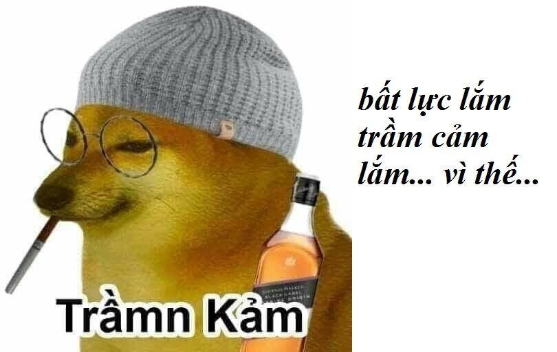 Tôi Là Bạn Gái Của Tôi?! Chap 3 - Next Chap 4