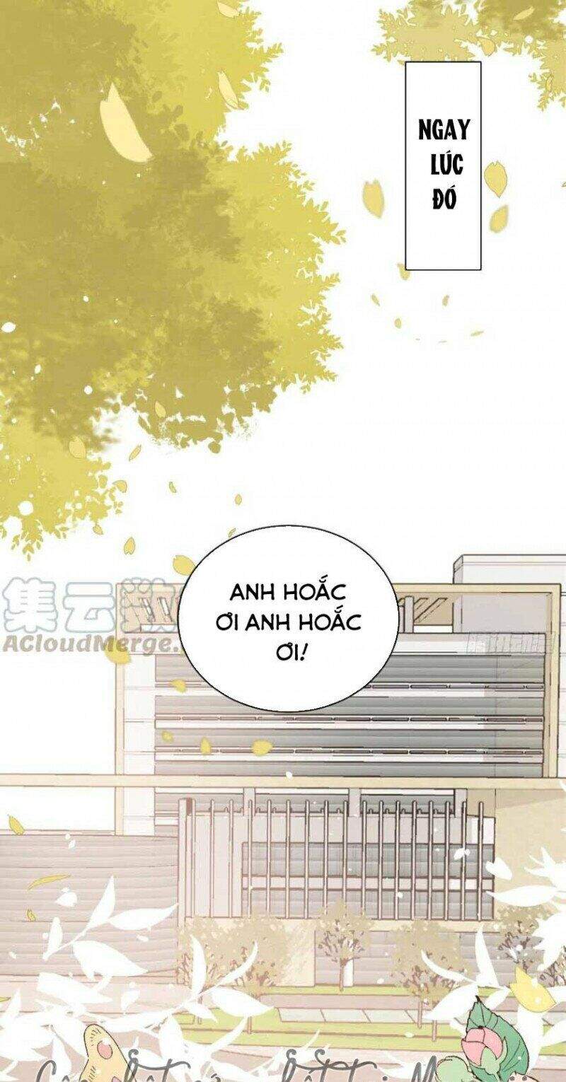 Cưng Chiều Đại Lão 3 Tuổi Rưỡi Chap 65 - Next Chap 66